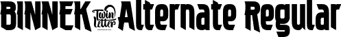 BINNEK-Alternate Regular font - BINNEK-BINNEK-Alternate.ttf