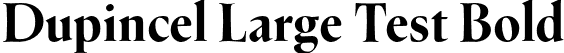 Dupincel Large Test Bold font - DupincelLargeTest-Bold.otf