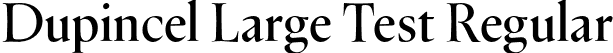 Dupincel Large Test Regular font - DupincelLargeTest-Regular.otf