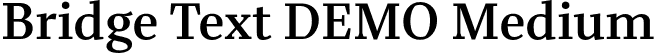 Bridge Text DEMO Medium font - BridgeTextDEMO-Medium.otf