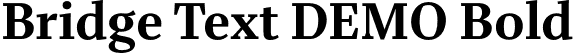 Bridge Text DEMO Bold font - BridgeTextDEMO-Bold.otf