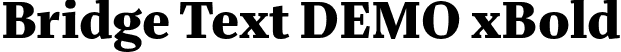 Bridge Text DEMO xBold font - BridgeTextDEMO-xBold.otf