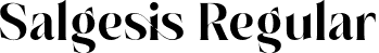 Salgesis Regular font - Salgesis.otf