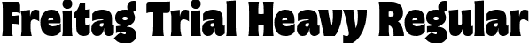 Freitag Trial Heavy Regular font - Freitag-Heavy-trial.ttf