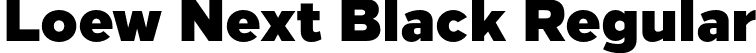 Loew Next Black Regular font - LoewNext-Black.otf