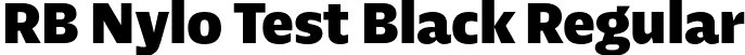 RB Nylo Test Black Regular font - NyloTest-Black.otf