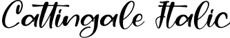 Cattingale Italic font - Cattingale-Italic.otf