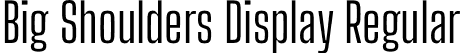 Big Shoulders Display Regular font - BigShouldersDisplay-Regular.otf