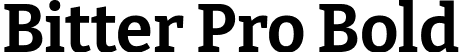 Bitter Pro Bold font - BitterPro-Bold.ttf