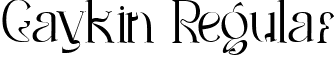 Gaykin Regular font - GaykinRegular-2OVPv.ttf