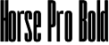 Horse Pro Bold font - horseprobold-doxxd.ttf