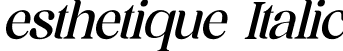 esthetique Italic font - esthetique-italic.otf