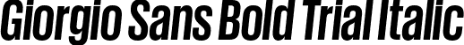 Giorgio Sans Bold Trial Italic font - GiorgioSans-BoldItalic-Trial.otf