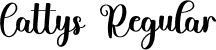 Cattys Regular font - Cattys.otf