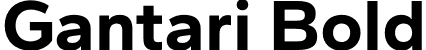 Gantari Bold font - Gantari-Bold.otf