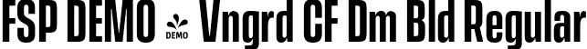 FSP DEMO - Vngrd CF Dm Bld Regular font - Fontspring-DEMO-vanguardcf-demibold.otf