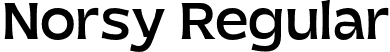 Norsy Regular font - norsy-regular.otf