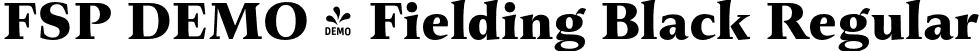 FSP DEMO - Fielding Black Regular font - Fontspring-DEMO-fielding-black.otf