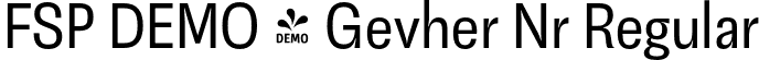 FSP DEMO - Gevher Nr Regular font - Fontspring-DEMO-gevhernr-regular.otf