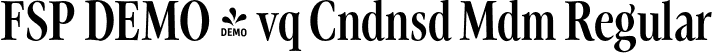 FSP DEMO - vq Cndnsd Mdm Regular font - Fontspring-DEMO-evoque-condensedmedium.otf