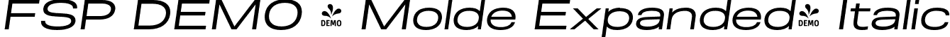 FSP DEMO - Molde Expanded- Italic font - Fontspring-DEMO-molde-expanded-regularitalic.otf