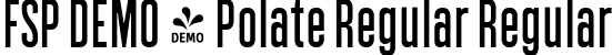 FSP DEMO - Polate Regular Regular font - Fontspring-DEMO-polate-regular.ttf