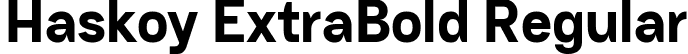 Haskoy ExtraBold Regular font - Haskoy-ExtraBold.ttf