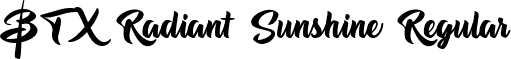 BTX Radiant Sunshine Regular font - btxradiantsunshine-vgy4b.ttf