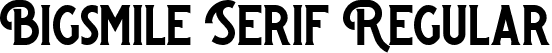 Bigsmile Serif Regular font - Bigsmile-Serif (Demo).ttf