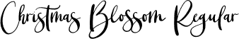 Christmas Blossom Regular font - Christmas Blossom.otf