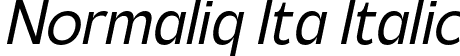 Normaliq Ita Italic font - Normaliq Italic.otf