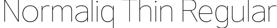 Normaliq Thin Regular font - Normaliq Thin.otf