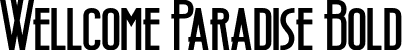 Wellcome Paradise Bold font - Wellcome Paradise Bold.otf