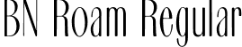 BN Roam Regular font - bnroam.otf