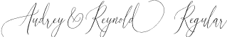 Audrey and Reynold Regular font - audreyandreynold-vwn4.ttf