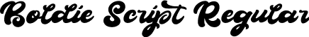 Boldie Script Regular font - boldie-script.ttf