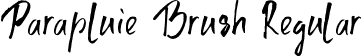 Parapluie Brush Regular font - Parapluie-Brush.otf