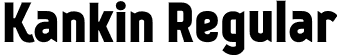 Kankin Regular font - kankinregular.otf