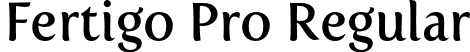 Fertigo Pro Regular font - Fertigo_PRO.otf