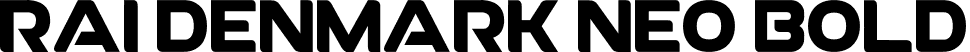 RAI Denmark Neo Bold font - RAIDenmarkNeo.ttf