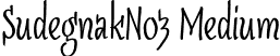 SudegnakNo3 Medium font - SudegnakNo3.otf