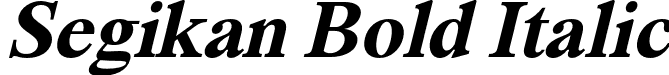 Segikan Bold Italic font - Segikan-BoldItalic.otf