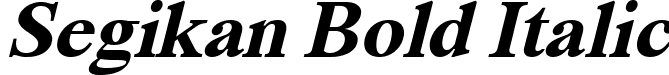 Segikan Bold Italic font - Segikan-BoldItalic.ttf