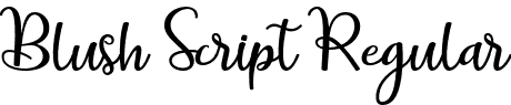 Blush Script Regular font - Blush-Script.otf