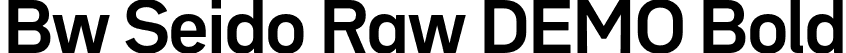 Bw Seido Raw DEMO Bold font - BwSeidoRawDEMO-Bold.otf