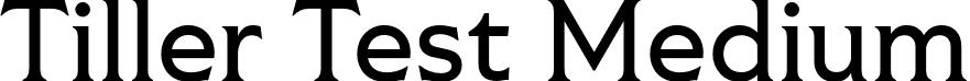 Tiller Test Medium font - TillerTest-Medium.otf