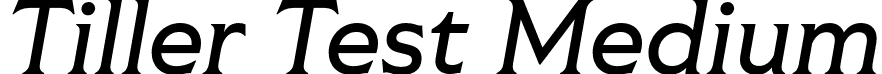 Tiller Test Medium font - TillerTest-MediumItalic.otf