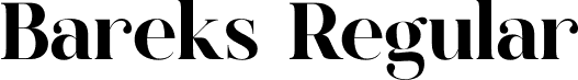 Bareks Regular font - Bareks.otf