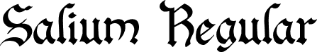 Salium Regular font - Salium (1).ttf