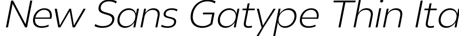 New Sans Gatype Thin Ita font - Revolin-ThinItalic.otf